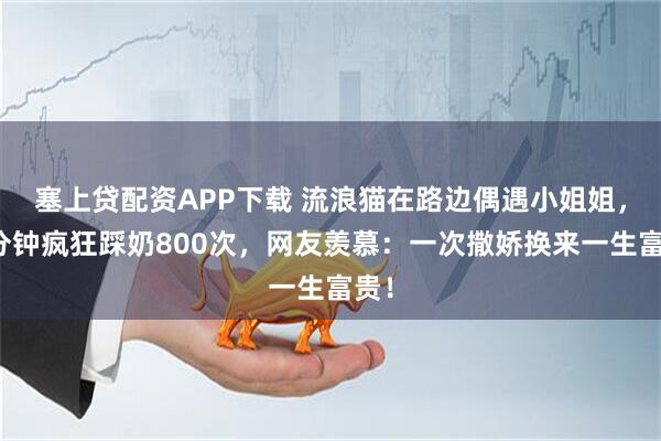 塞上贷配资APP下载 流浪猫在路边偶遇小姐姐，一分钟疯狂踩奶800次，网友羡慕：一次撒娇换来一生富贵！