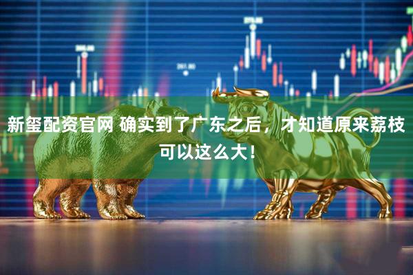 新玺配资官网 确实到了广东之后,才知道原来荔枝可以这么大!