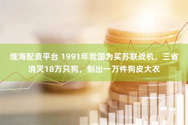 维海配资平台 1991年我国为买苏联战机，三省消灭18万只狗，制出一万件狗皮大衣