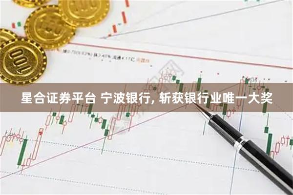 星合证券平台 宁波银行, 斩获银行业唯一大奖